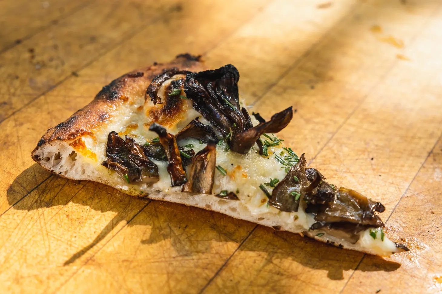 Monday Morning Open Thread 11/8/21