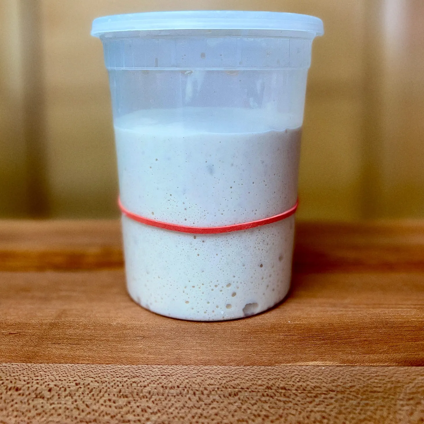 The Dough Before the Dough