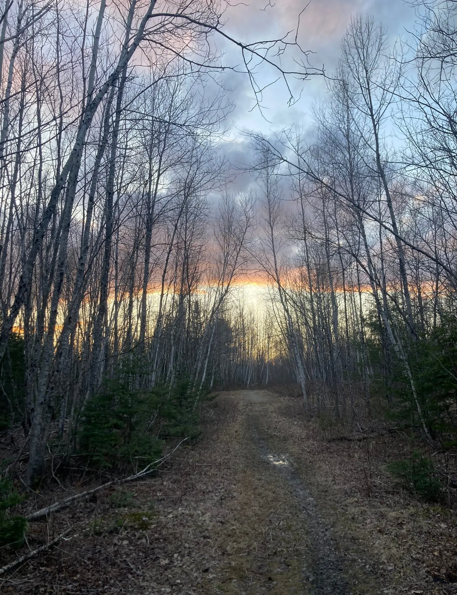 Farms, Food and Photography