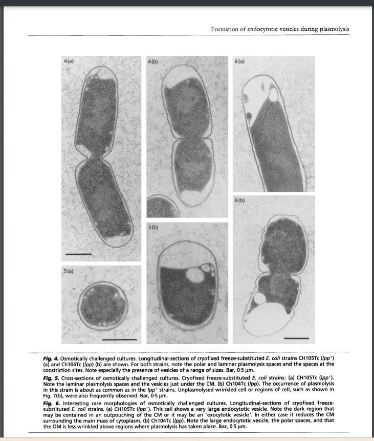 Starting the Sweet Starter