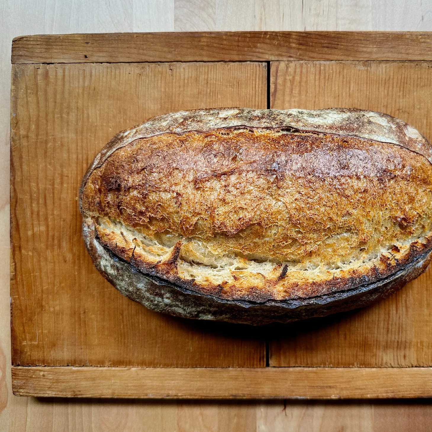 A quick hello to Wordloaf paid subscribers