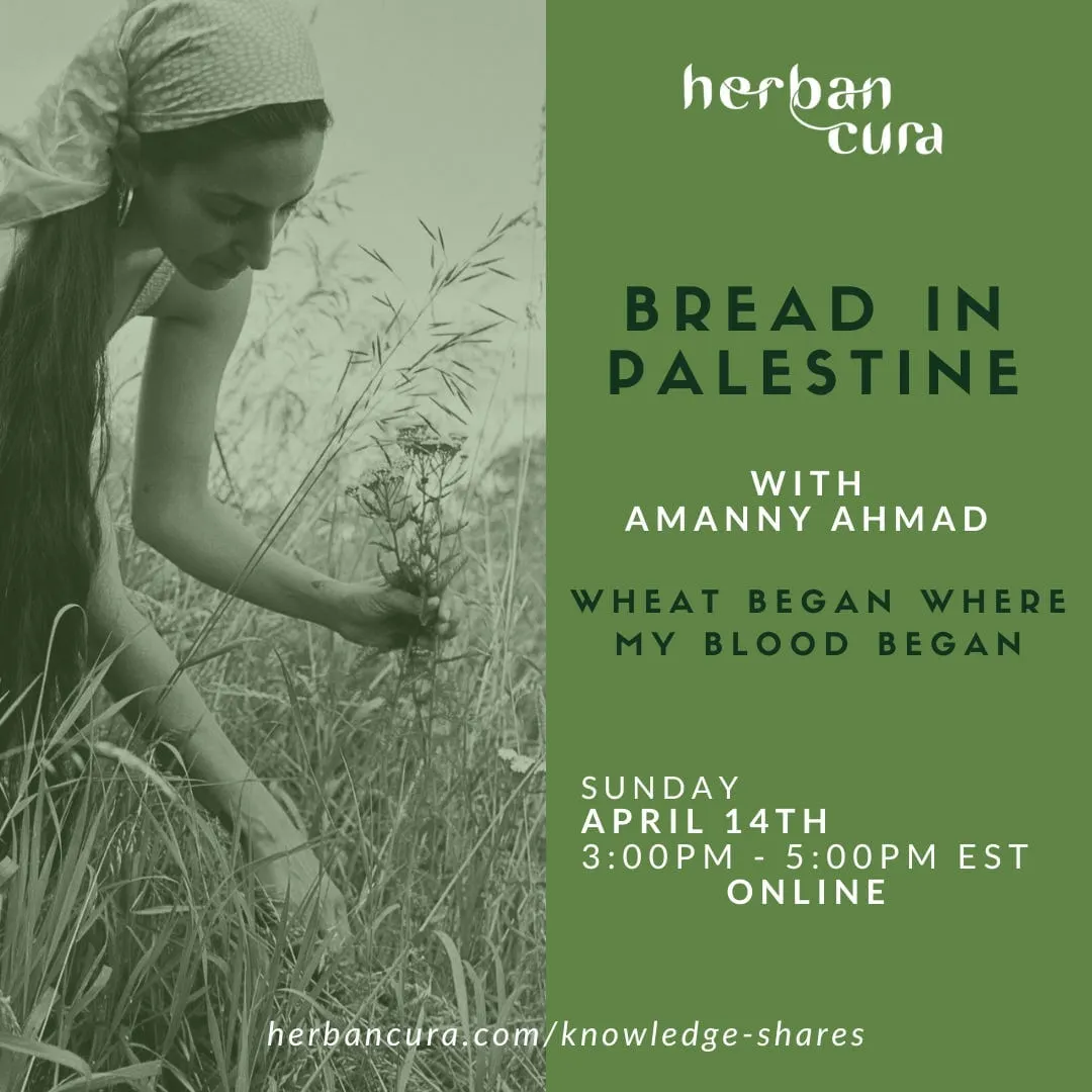 Herban Cura: Bread in Palestine