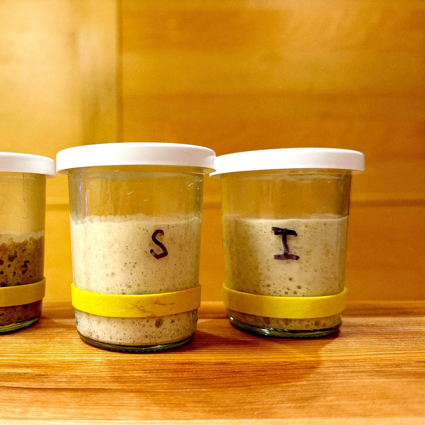 Continuous Sourdough Starter Maintenance Without Friction (or Wasted Flour)