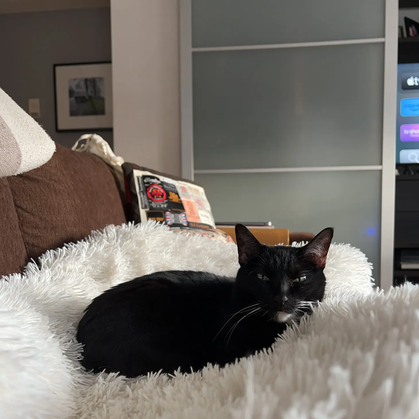 The View From the Couch