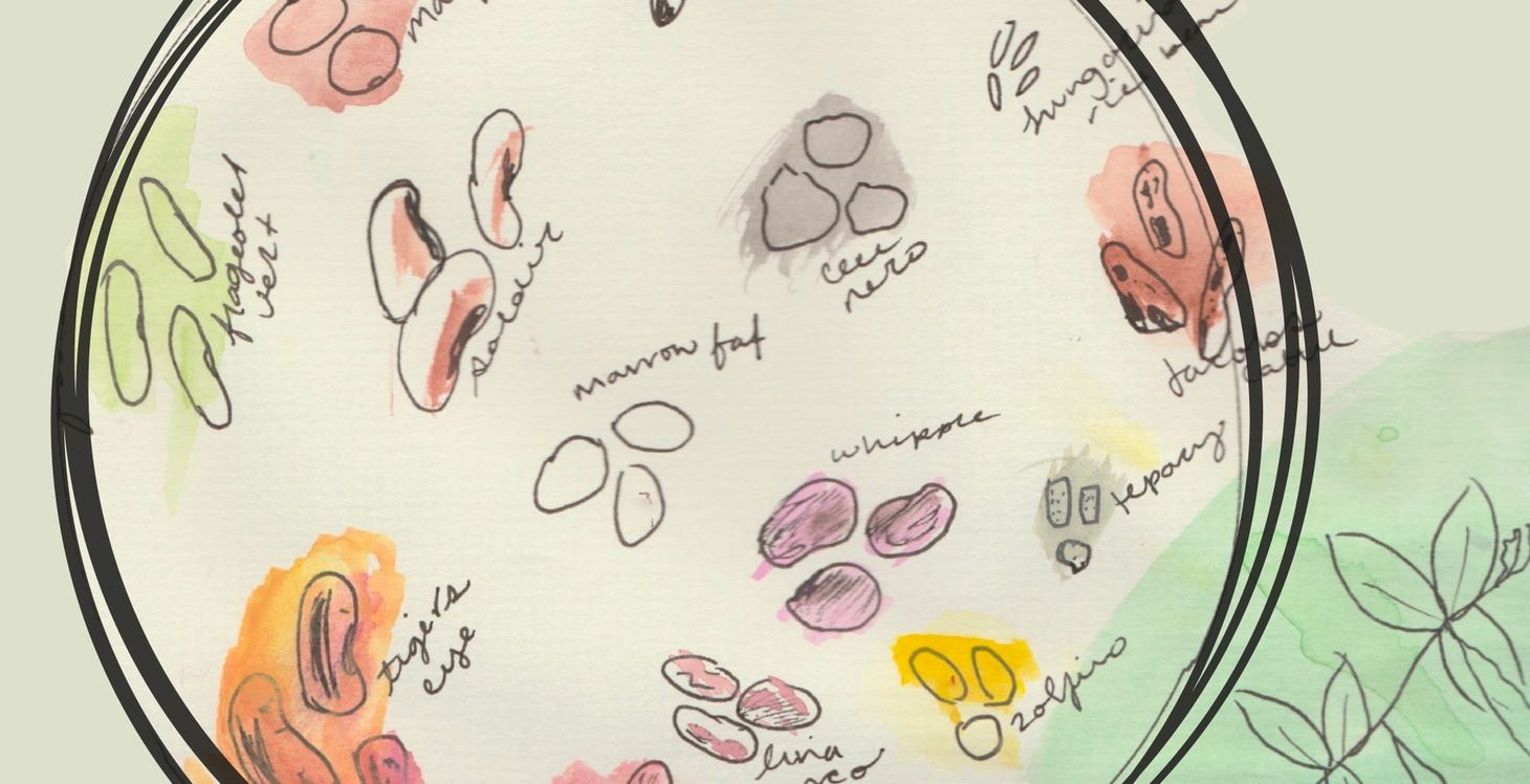 No Monday Open Thread today