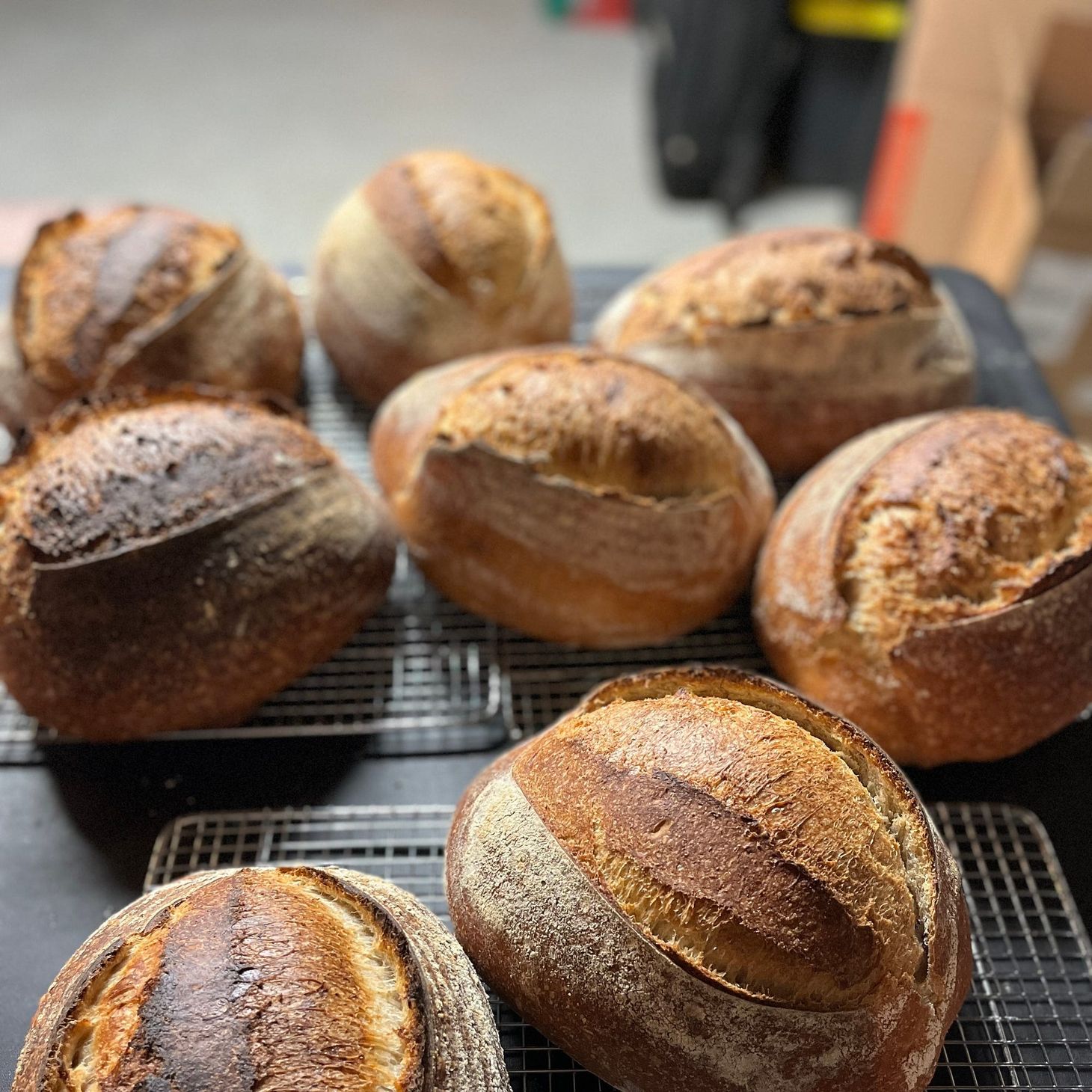 Baking isn't a solitary act