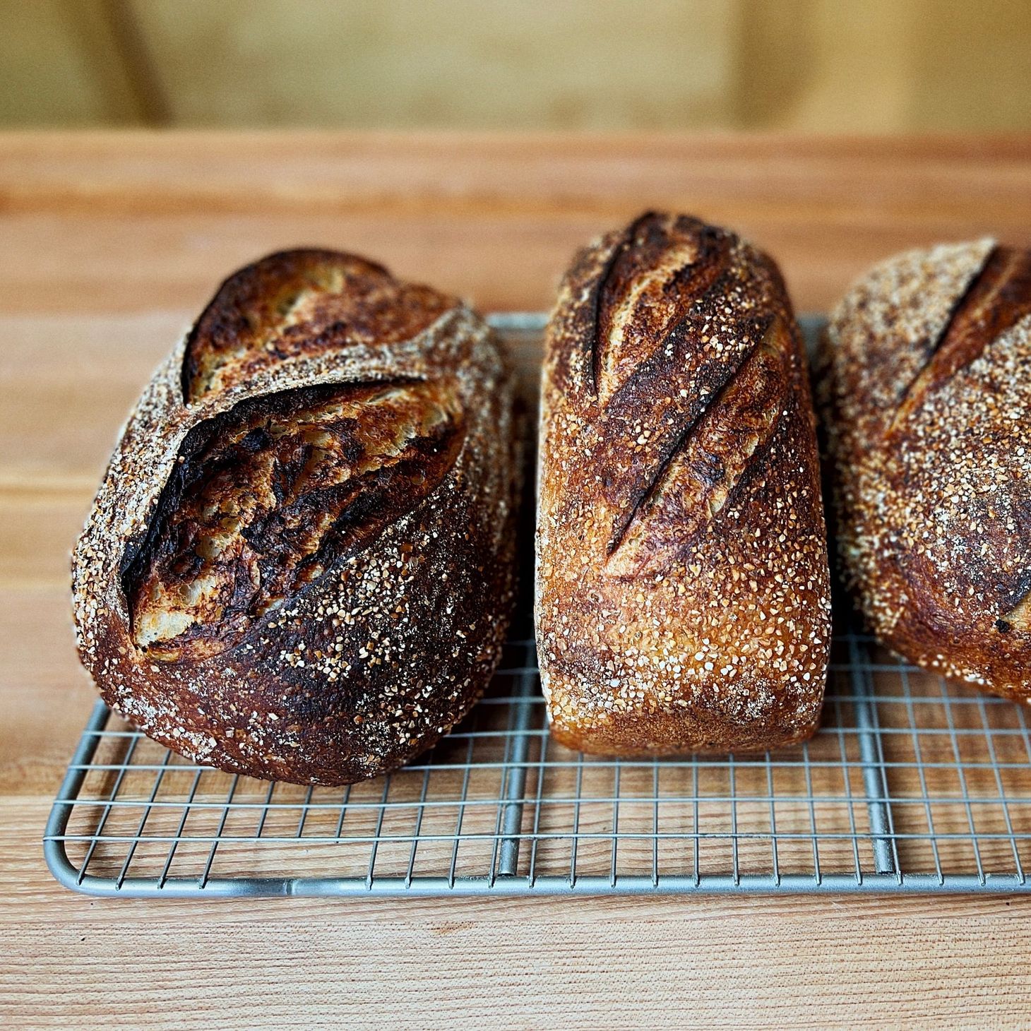 Recipe: Corn, Corn, Corn Sourdough