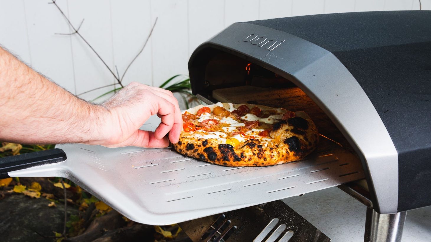 Monday Open Thread 6/20/22