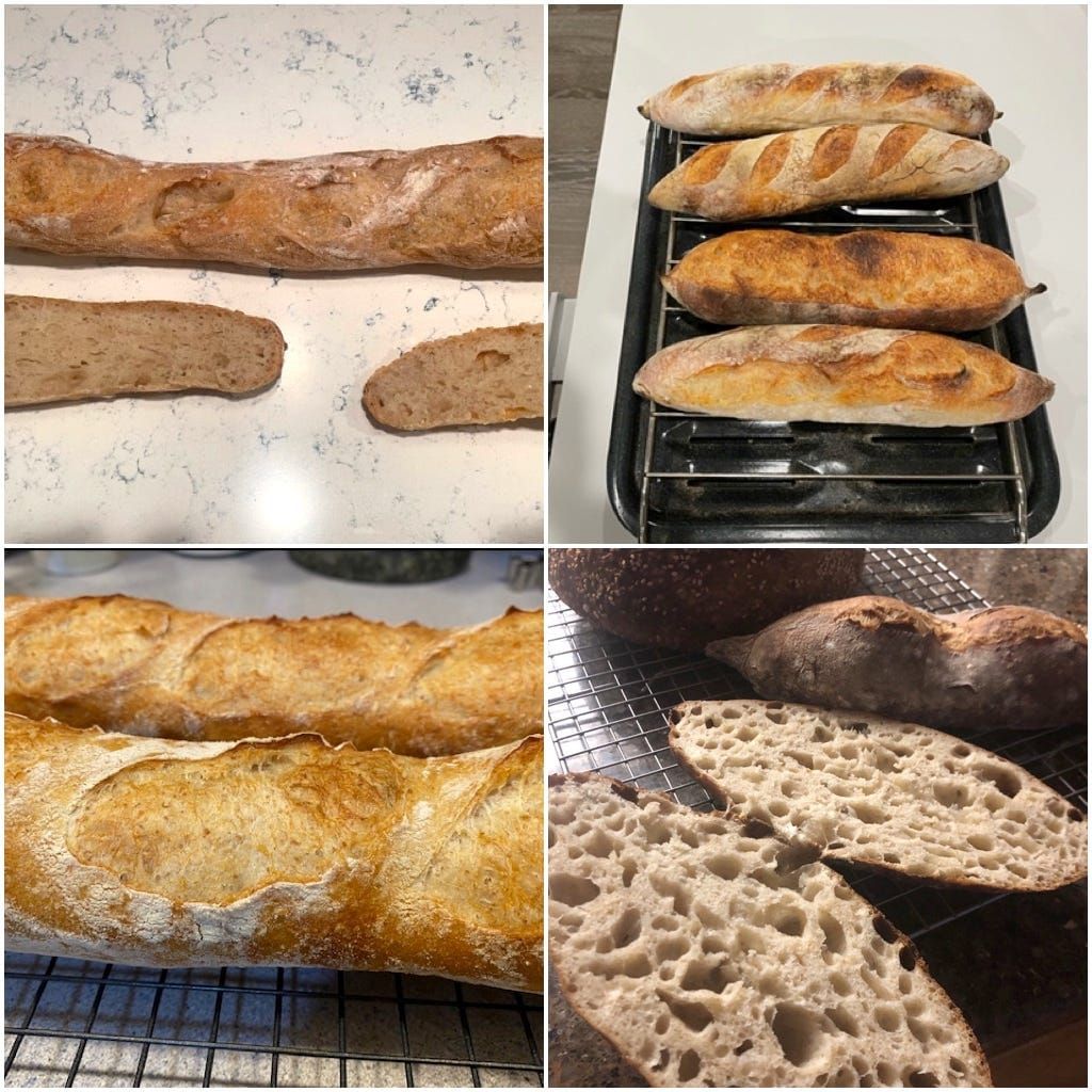 Monday Open Thread 1/3/22