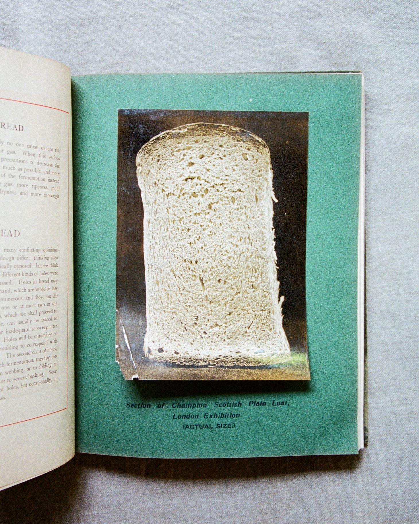 Monday Open Thread 6/6/22