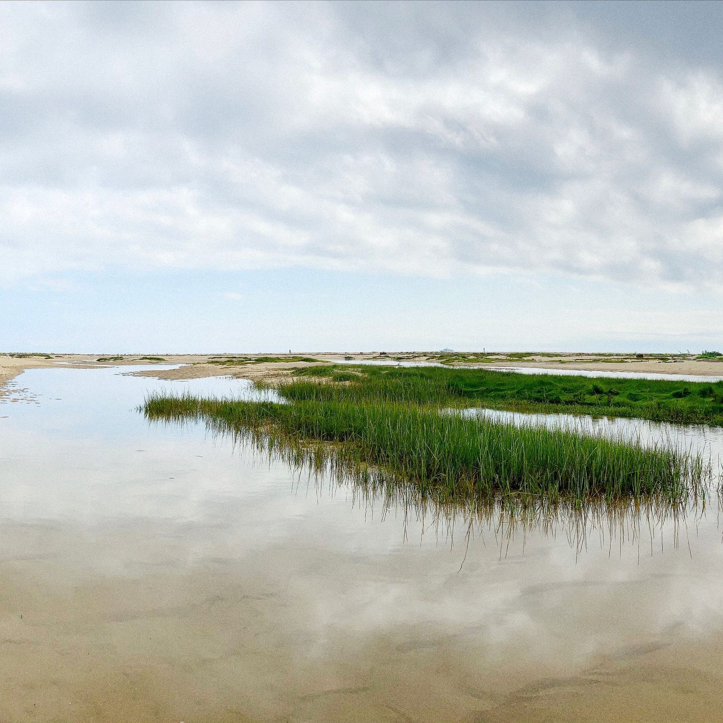 What I did on my summer vacation