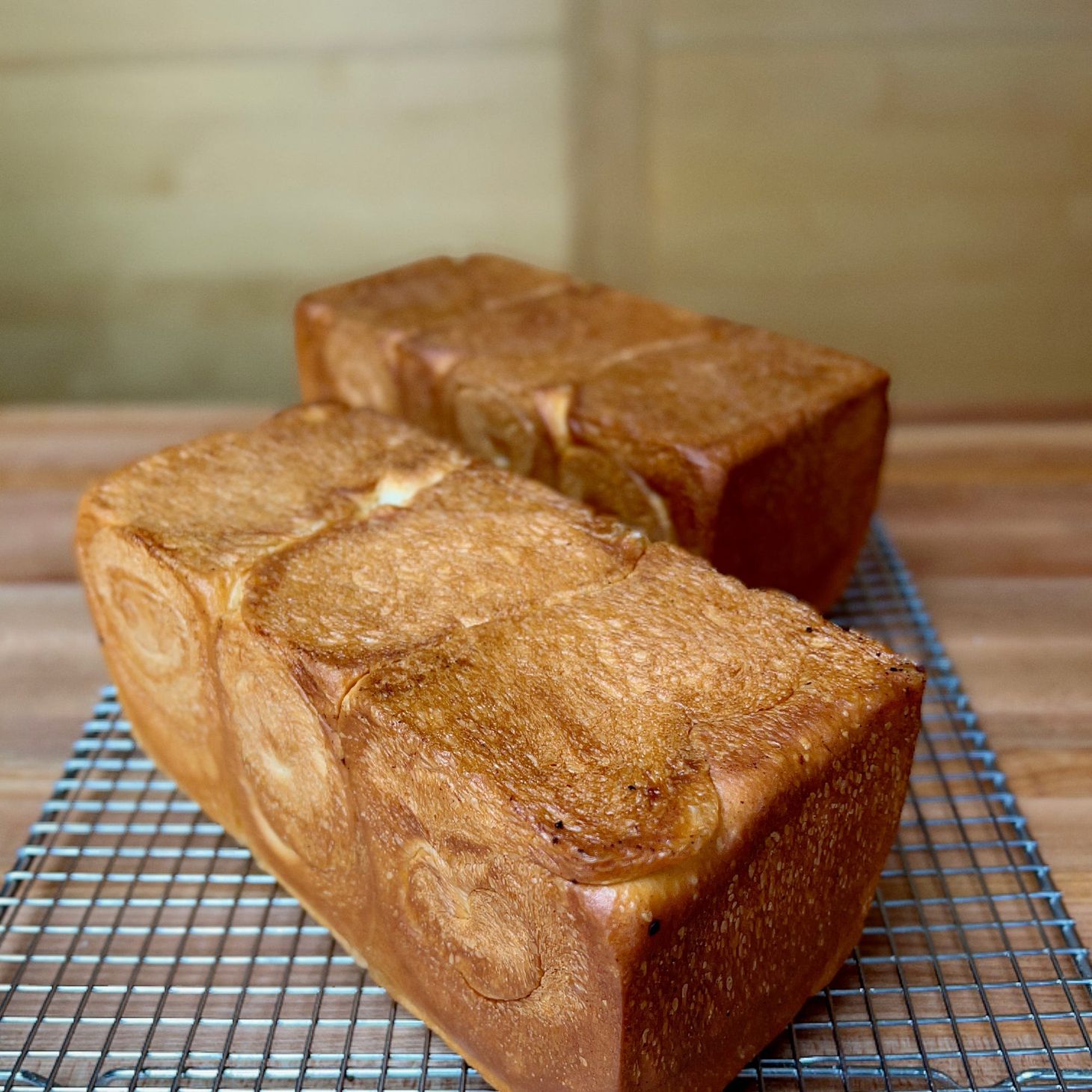 Monday Open Thread 2/21/22