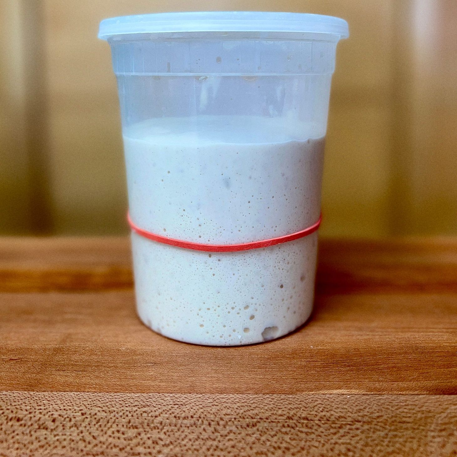 The Dough Before the Dough