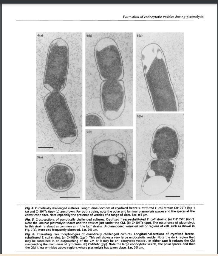 Starting the Sweet Starter