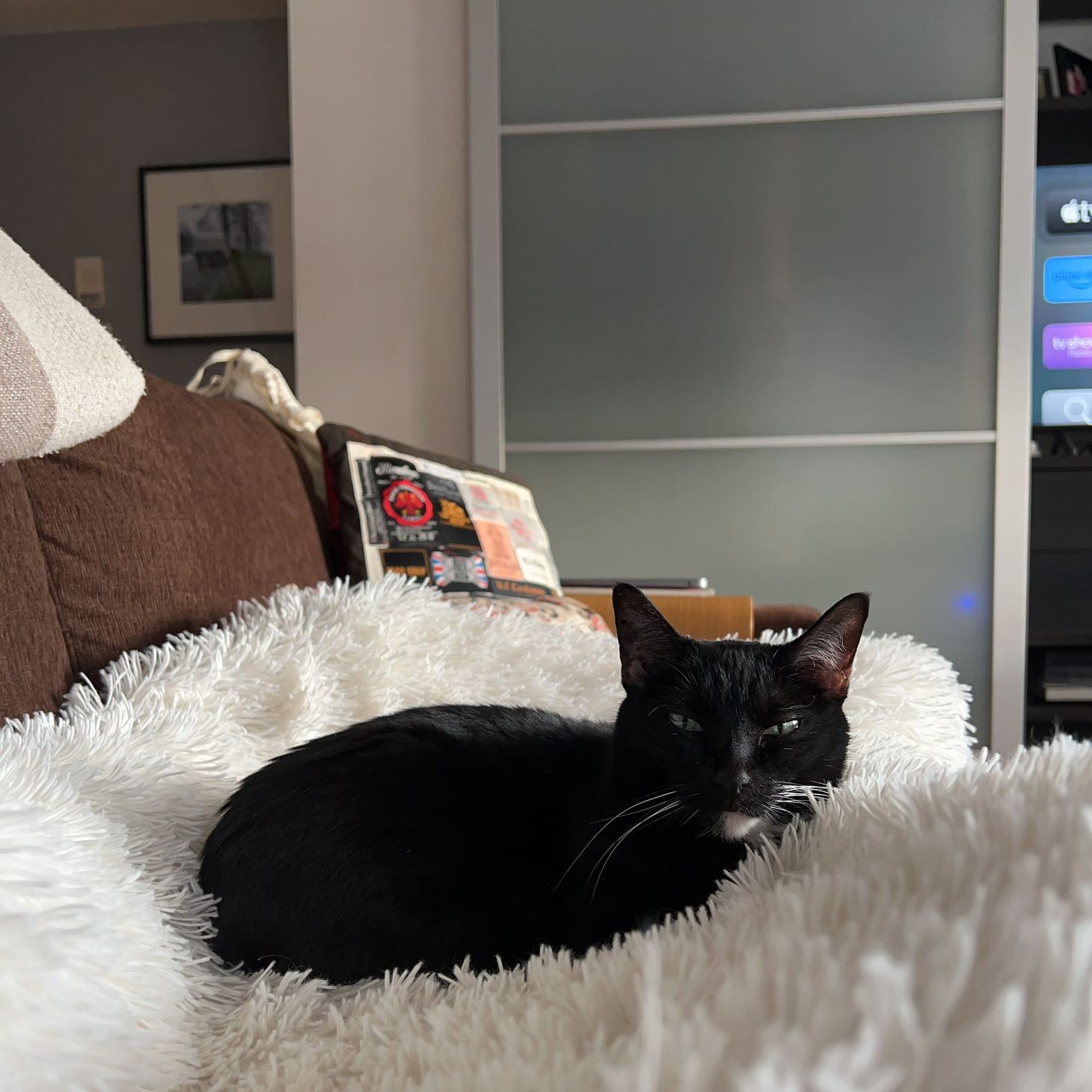 The View From the Couch