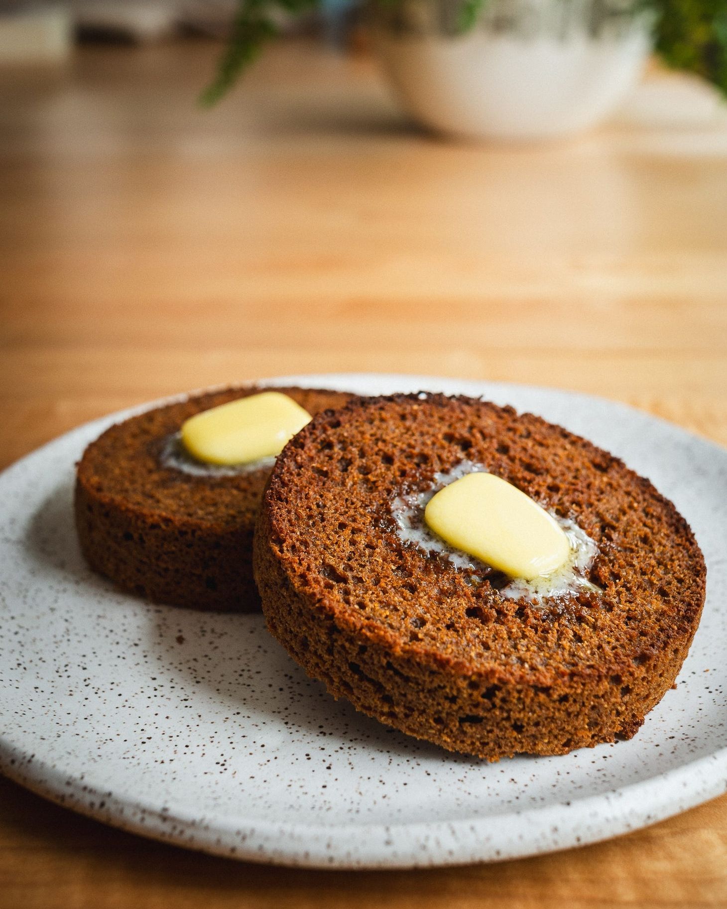 Recipe: Sourdough Boston Brown Bread
