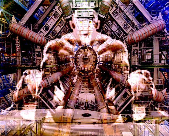 Fisetin supplement advantages