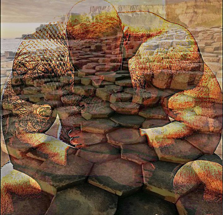 Men's rotary blade electric floating head shaver