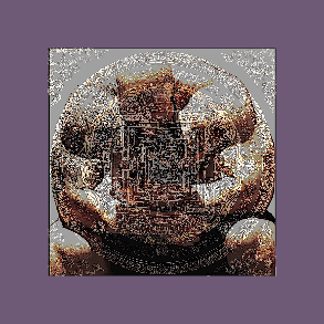 Astaxanthin: Unveiling the Men's Health and Longevity Superfoods