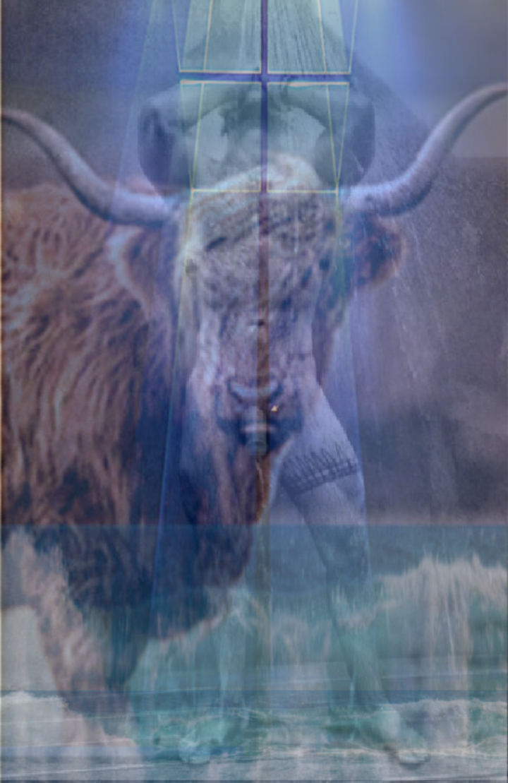 Ancestral nutrition with whole food sourced Grass fed Beef Organs