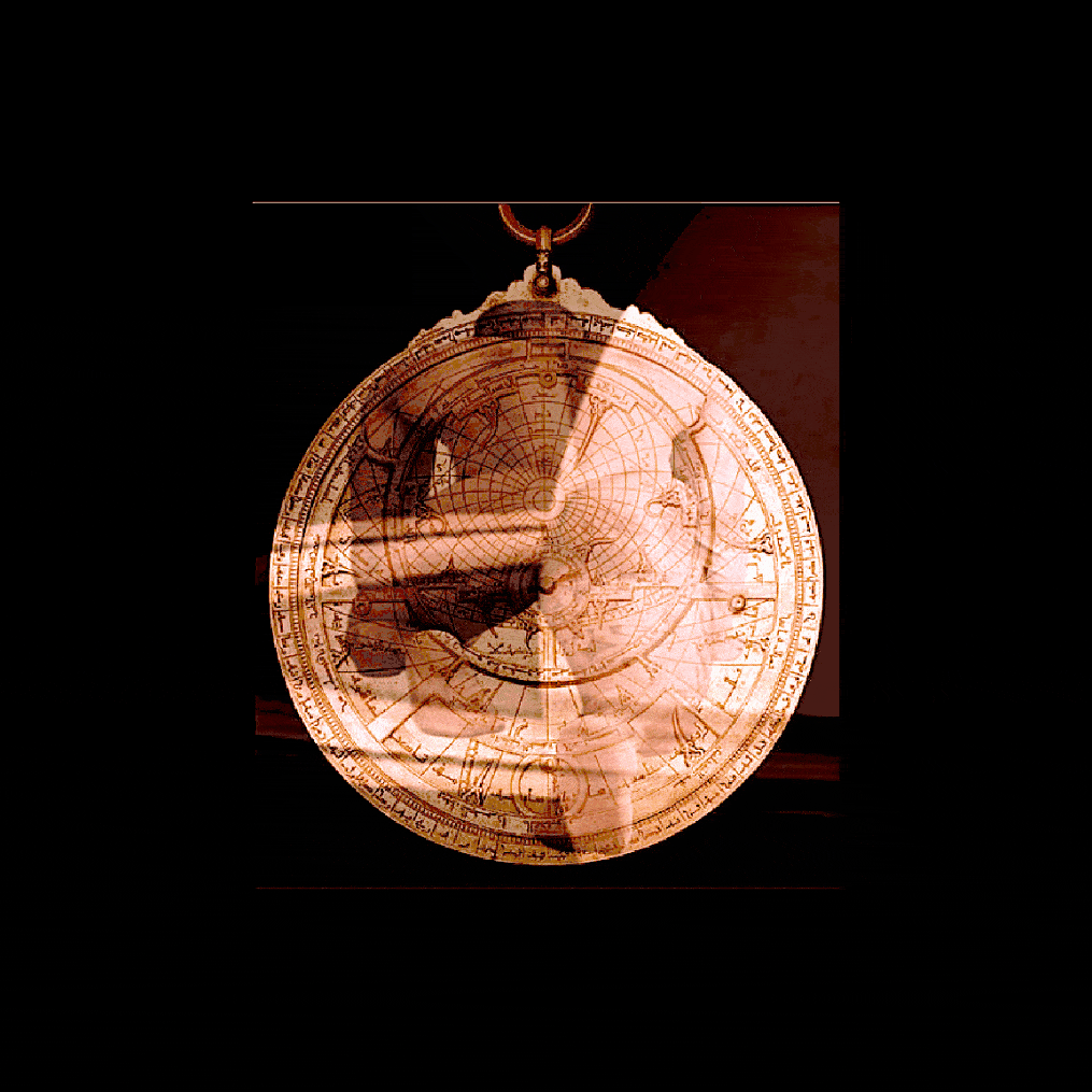 He Shou Wu (Fo-Ti): The Ancient Longevity & Boner Herb That Science Is Finally Understanding