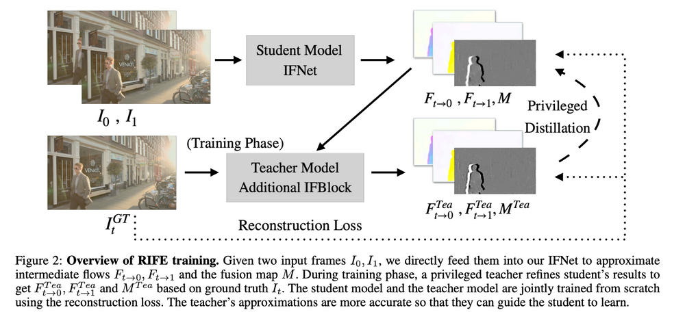 RIFE VFI model
