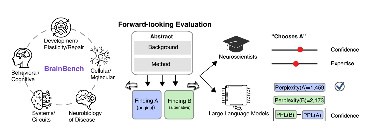 BrainBench diagram