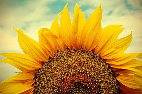 A vida não é uma propaganda de margarina