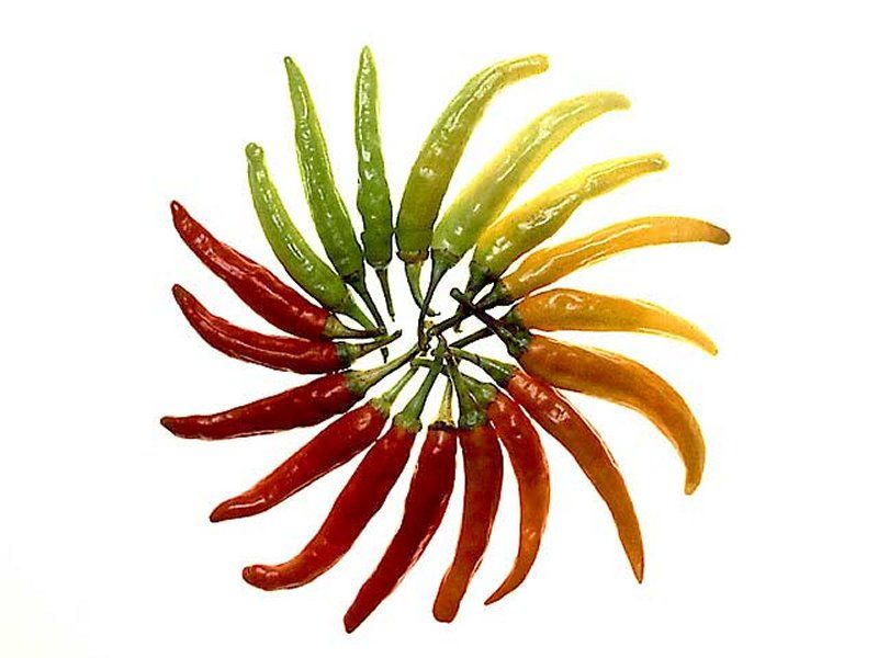 Você "se morde de ciúmes"?