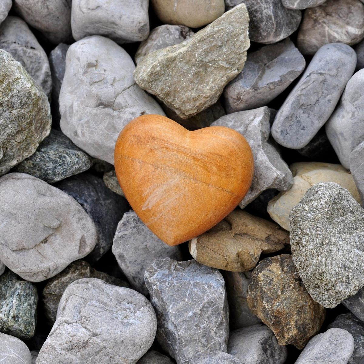 A dor é um grande professor