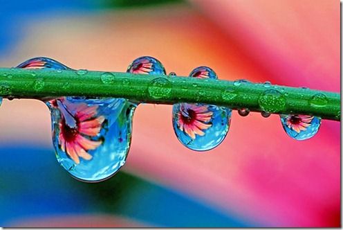 Mamografia e outras ias