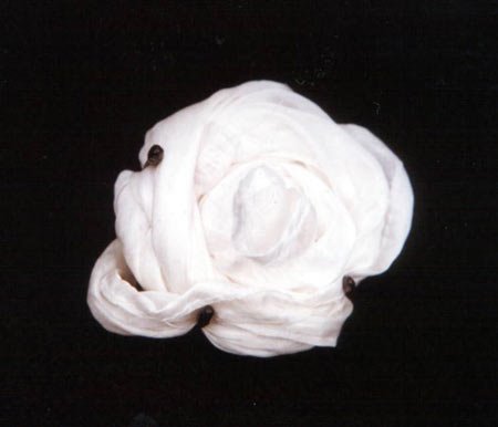 Luto