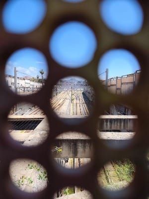 ON CULTURAL INSTINCT AND STRUCTURAL VIABILITY