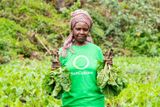 Portrait of a female farmer wearing a green SunCulture t-shirt and a patterned head wrap, holding freshly harvested leafy greens in a field.