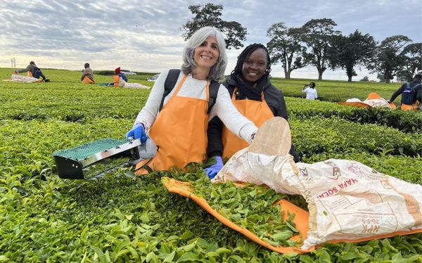 LIPTON Teas and Infusions Rebalances East African Footprint via Strategic Asset Sale to Browns Investments