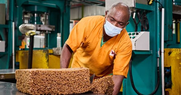 Olam Agri Expands West African Footprint with €17M Acquisition of Senegalese Feed Manufacturer Avisen