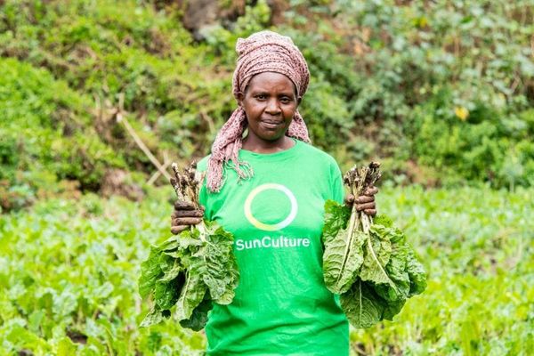 Kenyan Solar Irrigation Pioneer SunCulture Closes $10 Million Receivables Securitization Led by Mirova Gigaton Fund