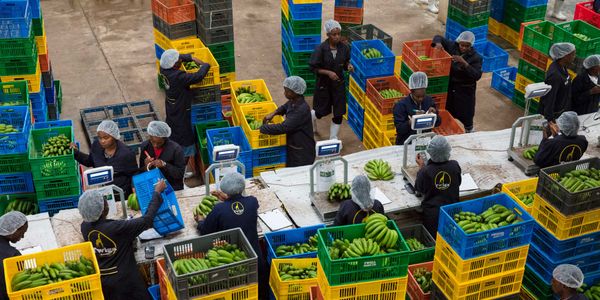Twiga Foods Enters Administration as $35 Million Rescue Package Falls Short