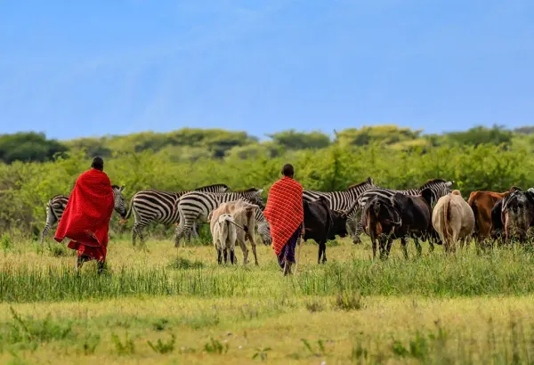 Maliasili Secures $15M Grant from MacKenzie Scott to Expand Community Conservation Fund
