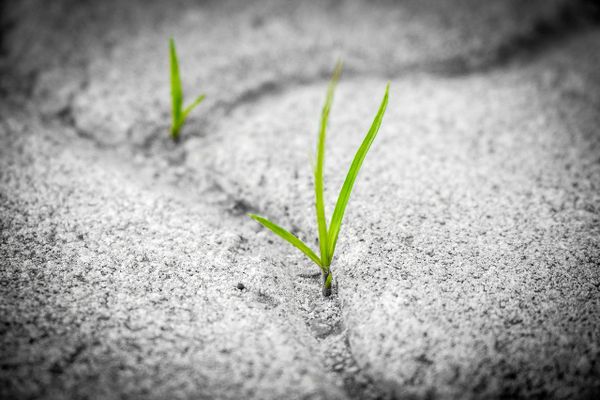 04: Resilience: Your Leverage to Grow Through Life's Challenges