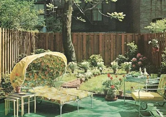 Jerry's Backyard