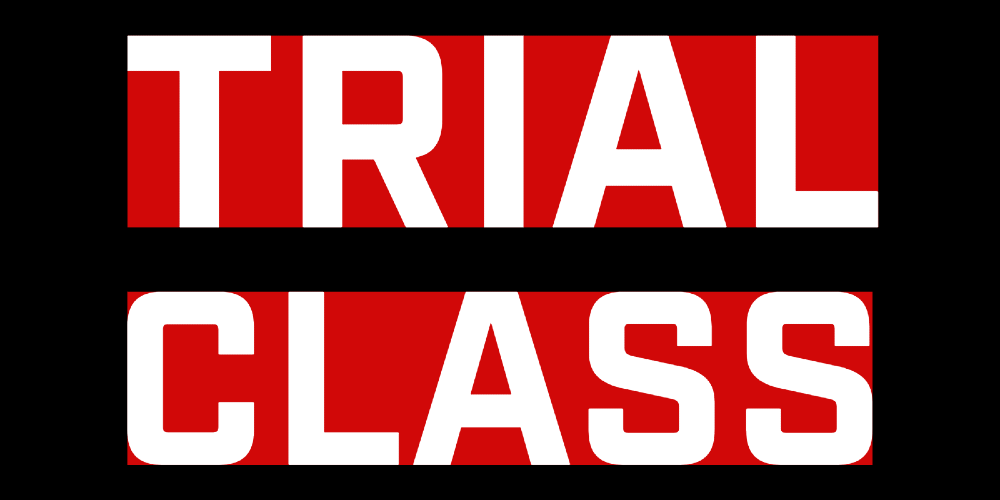Trial Class and Consultation