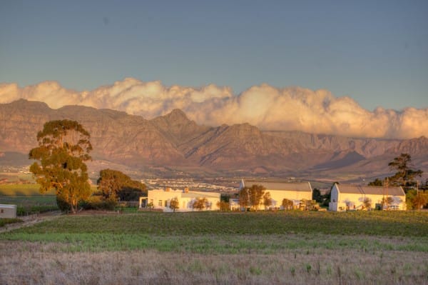 Reyneke Wines(South Africa)