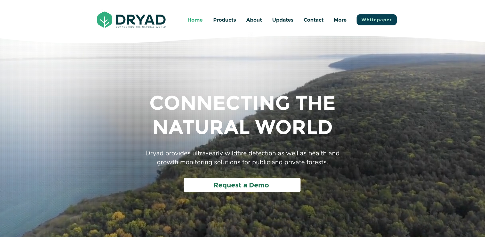 Dryad Networks
