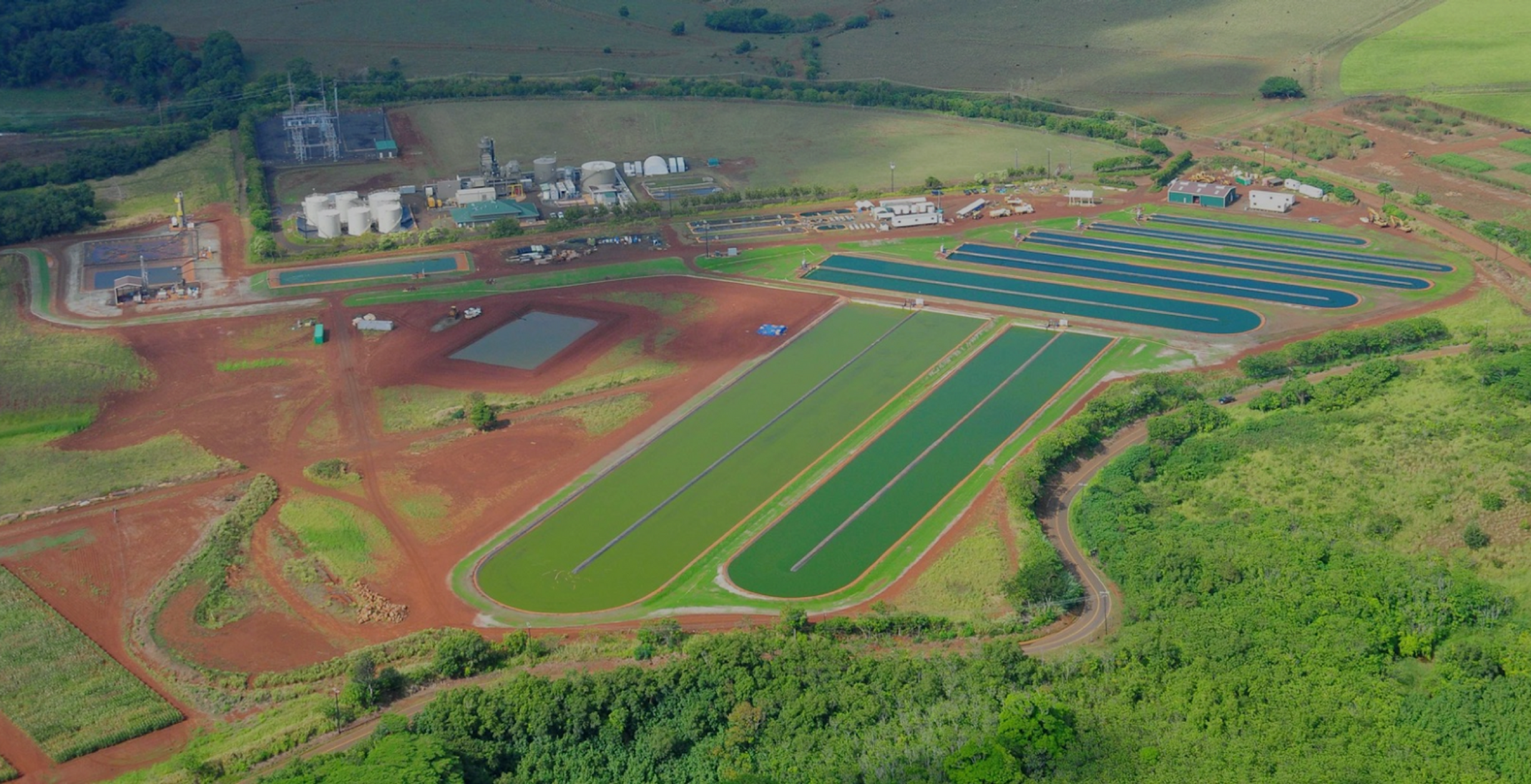 Global Algae Innovations
