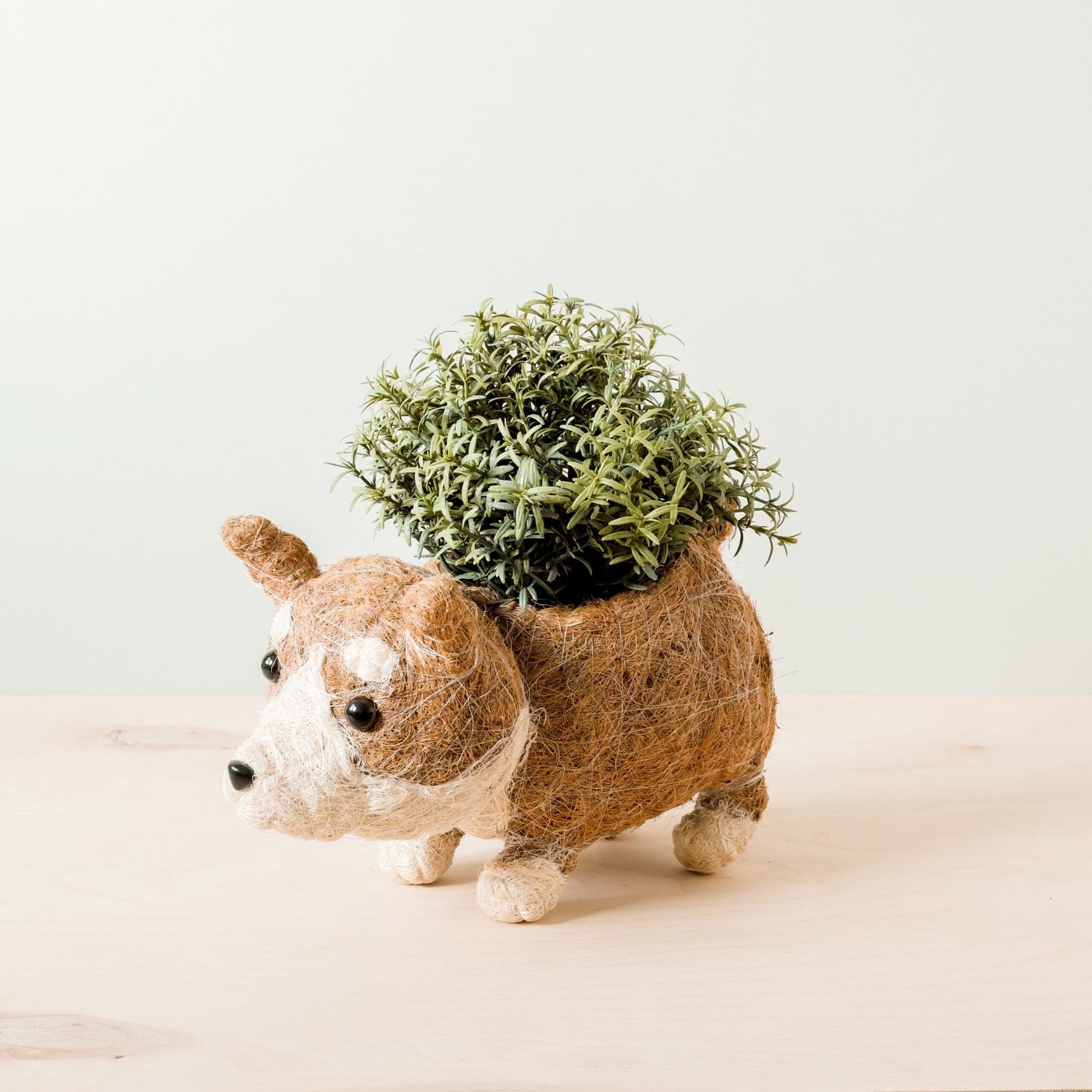 LIKHA - Corgi Succulant Pot - Handmade Planter