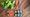 Greensole_SLIPPERS