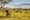 tanzania_safaries_ecotravel
