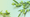 colive olive oil podcast