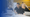 Paypal Grant Payments